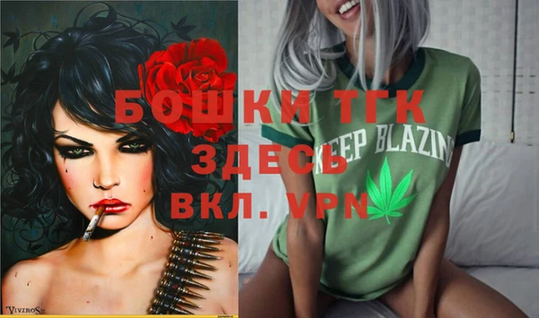 шишки Пролетарск